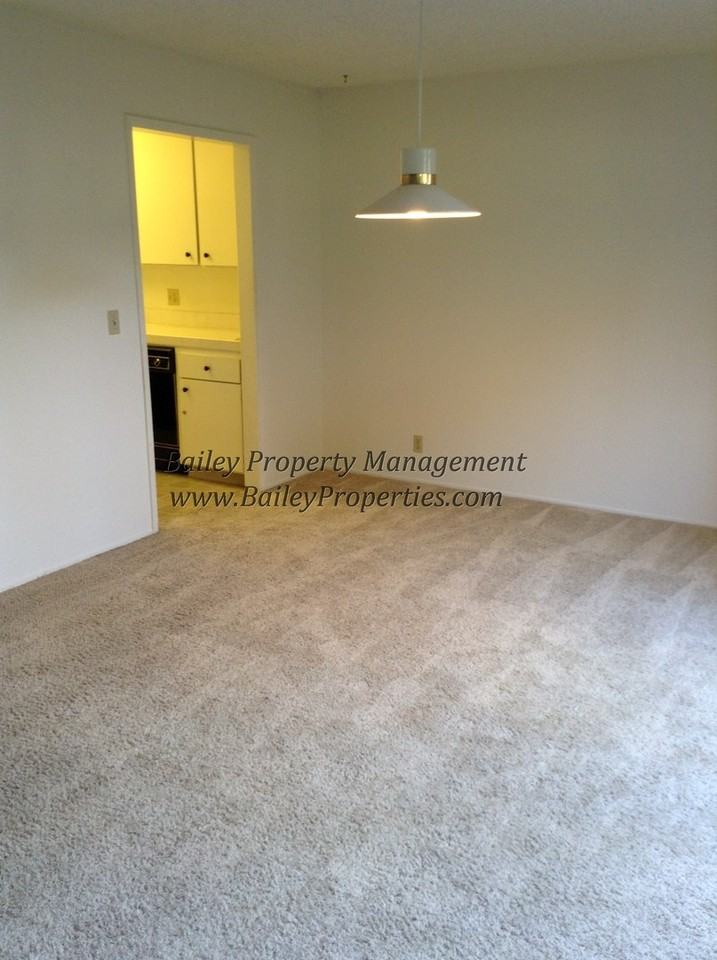 795 Via Palo Alto - Photo 5 of 17