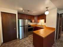 Ivy Tree - Photo 1 of 1