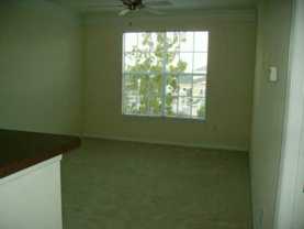 12849 Madison Pointe Cir - Photo 1 of 1