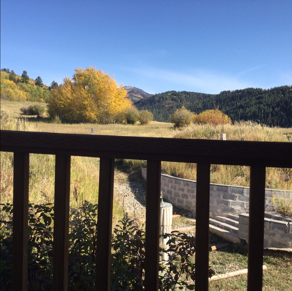 1560 1560 Walipini Ln. also known as 10573 Old Jackson Hwy - Photo 5 of 22