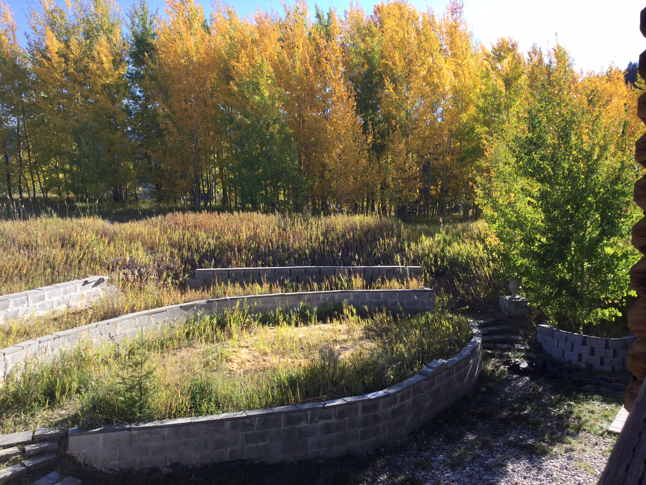 1560 1560 Walipini Ln. also known as 10573 Old Jackson Hwy - Photo 6 of 22