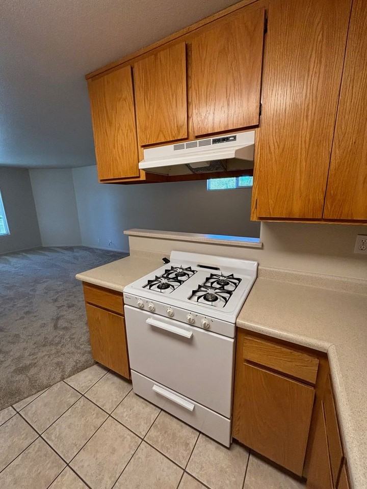 1732 Mount Olive Dr - Photo 5 of 13