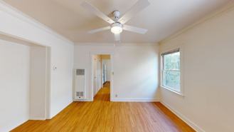 43che - Photo 1 of 1