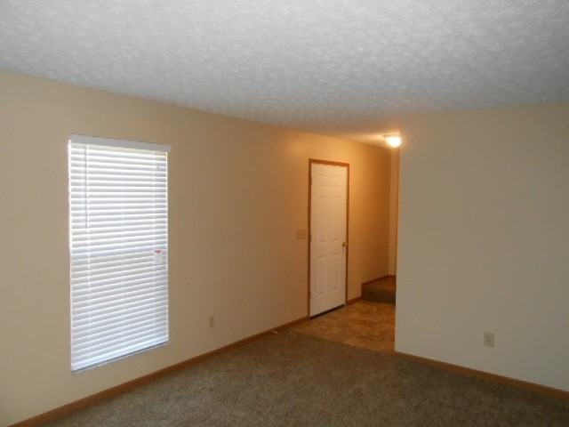 6647 Hilmar Dr - Photo 2 of 15