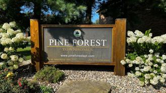 Pine Forest Townhomes - Photo 1 of 1
