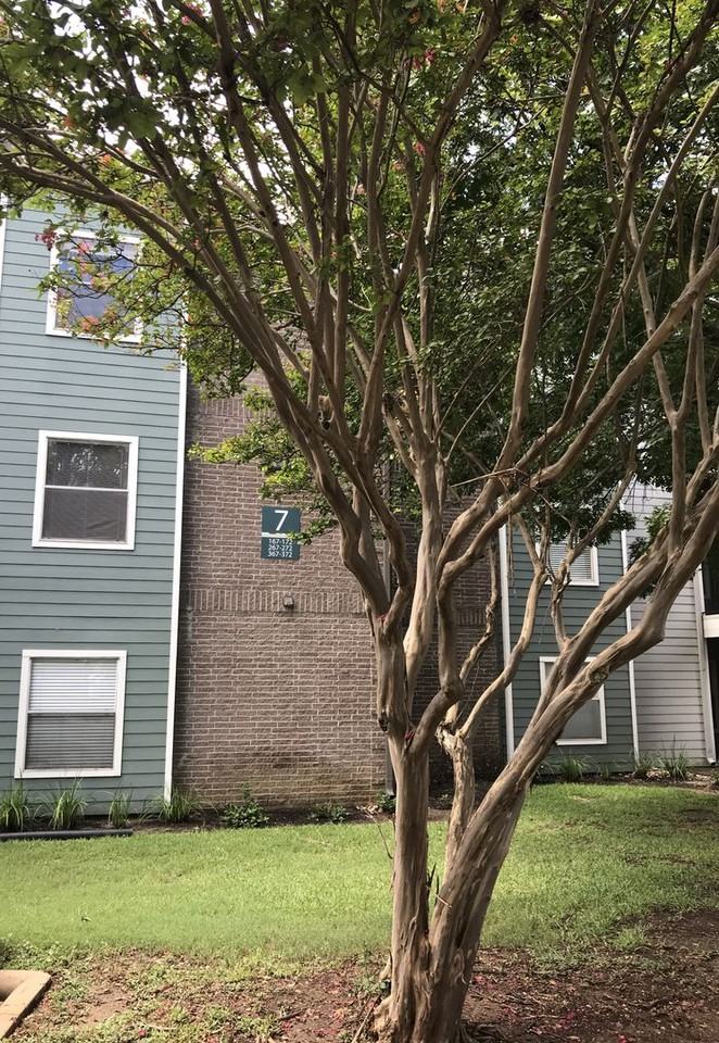 12166 Metric Blvd #267 - Photo 2 of 21