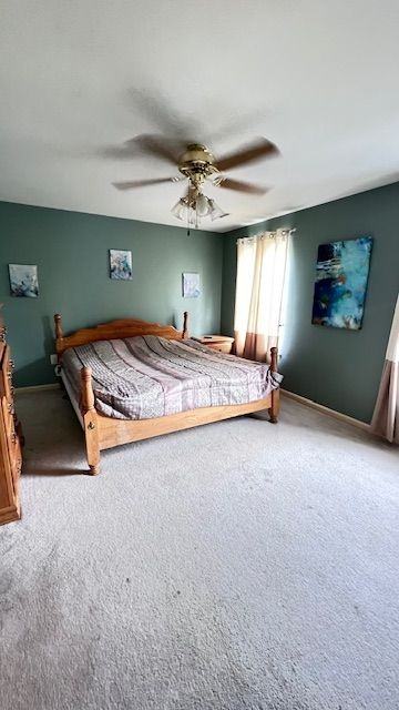 4320 Dunn Rd - Photo 2 of 14