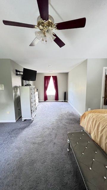 4320 Dunn Rd - Photo 3 of 14