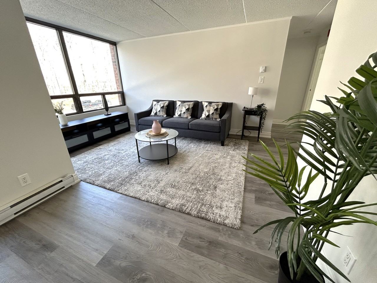 Heather Forest - Photo 7 of 37