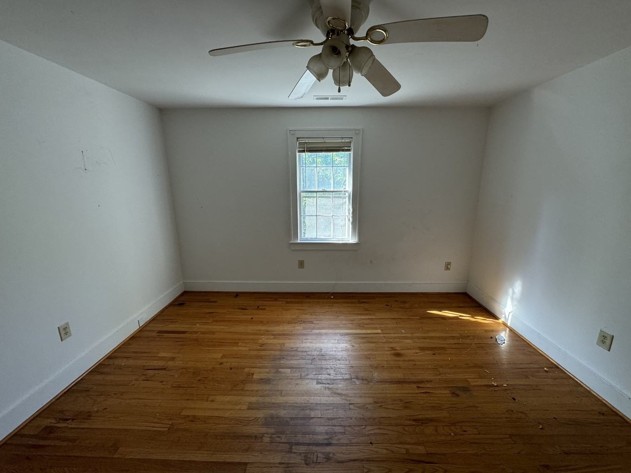 310-D Winston Street - Photo 3 of 6