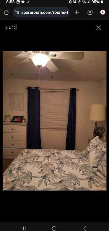 4984 Pine Cone Ct - Photo 3 of 11