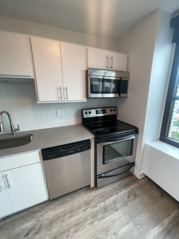 1171 South Michigan Avenue - Photo 2 of 8