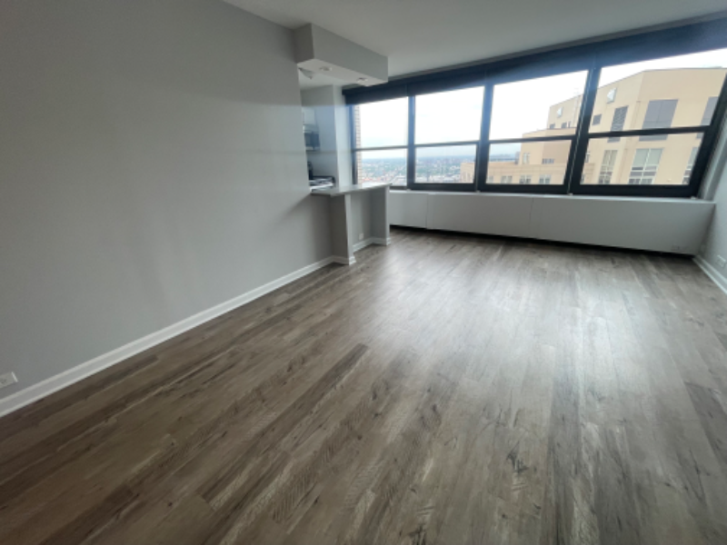 1171 South Michigan Avenue - Photo 3 of 8