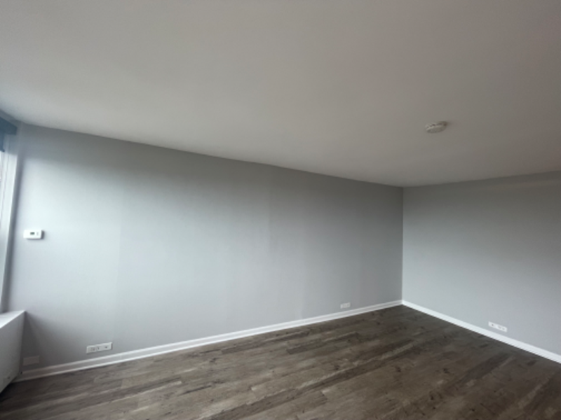 1171 South Michigan Avenue - Photo 6 of 8