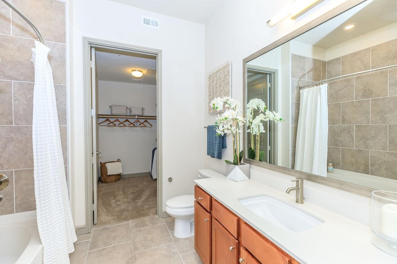 1711 Caroline - Photo 7 of 29