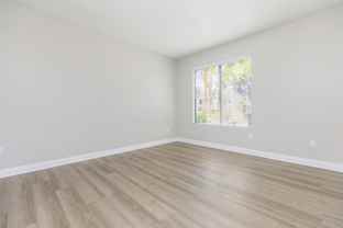 2 Via Amistosa - Photo 1 of 1