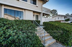 featured image of 3833 Camino Lindo