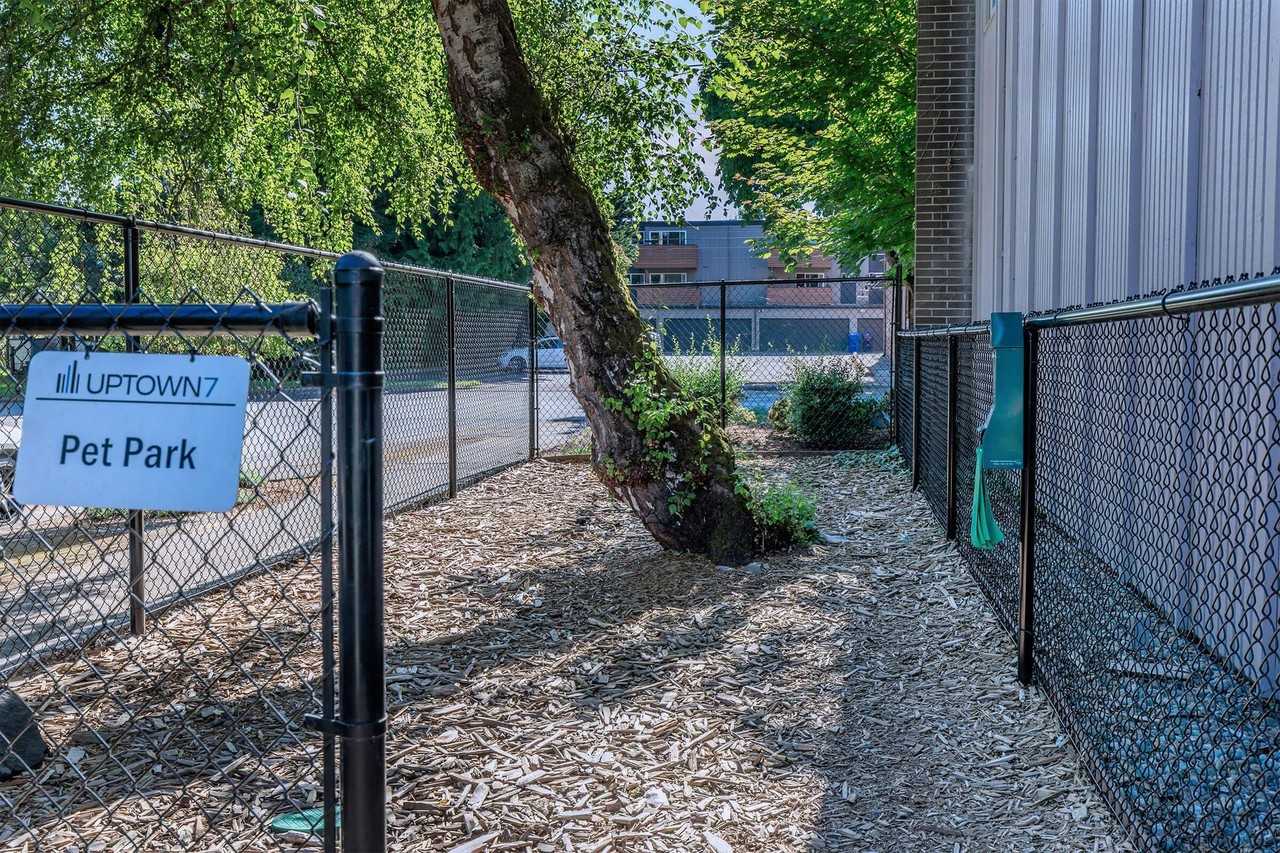 Uptown 7 Apartments - Photo 2 of 44