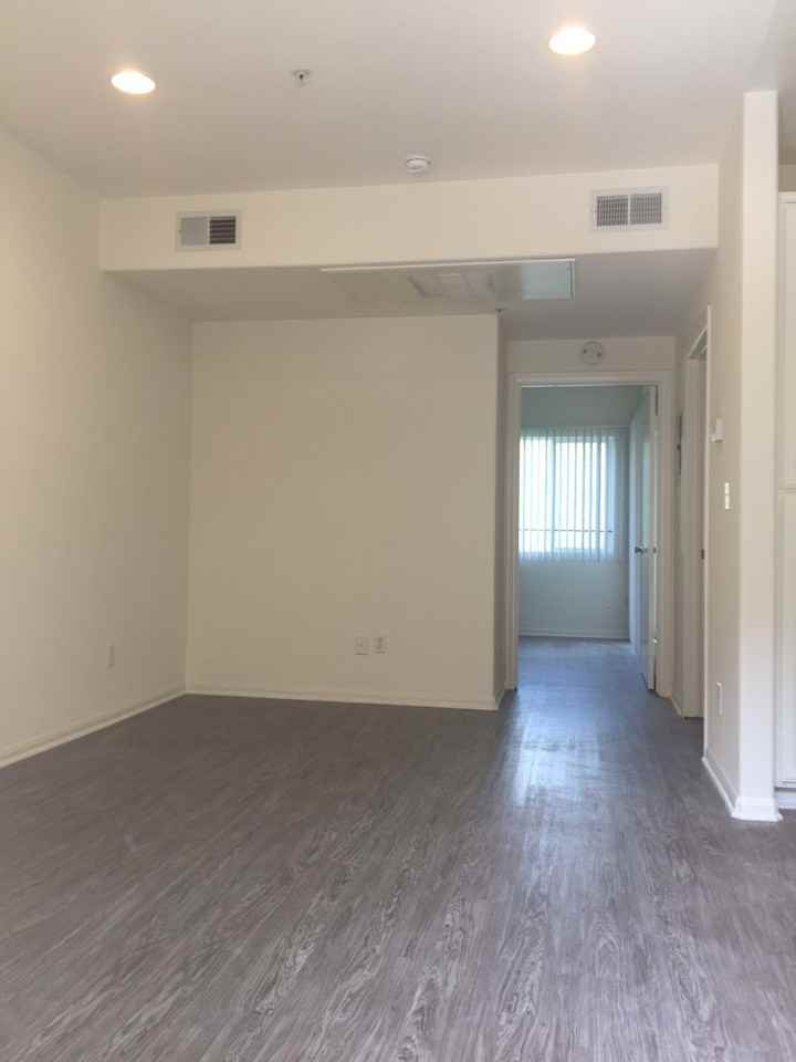 251 Robinson Street - Photo 7 of 19