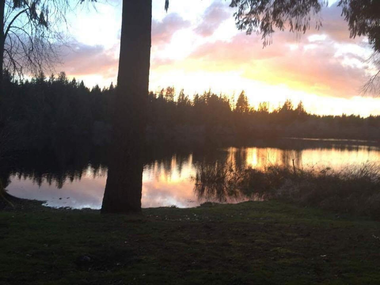 Shadow Woods - Photo 2 of 25