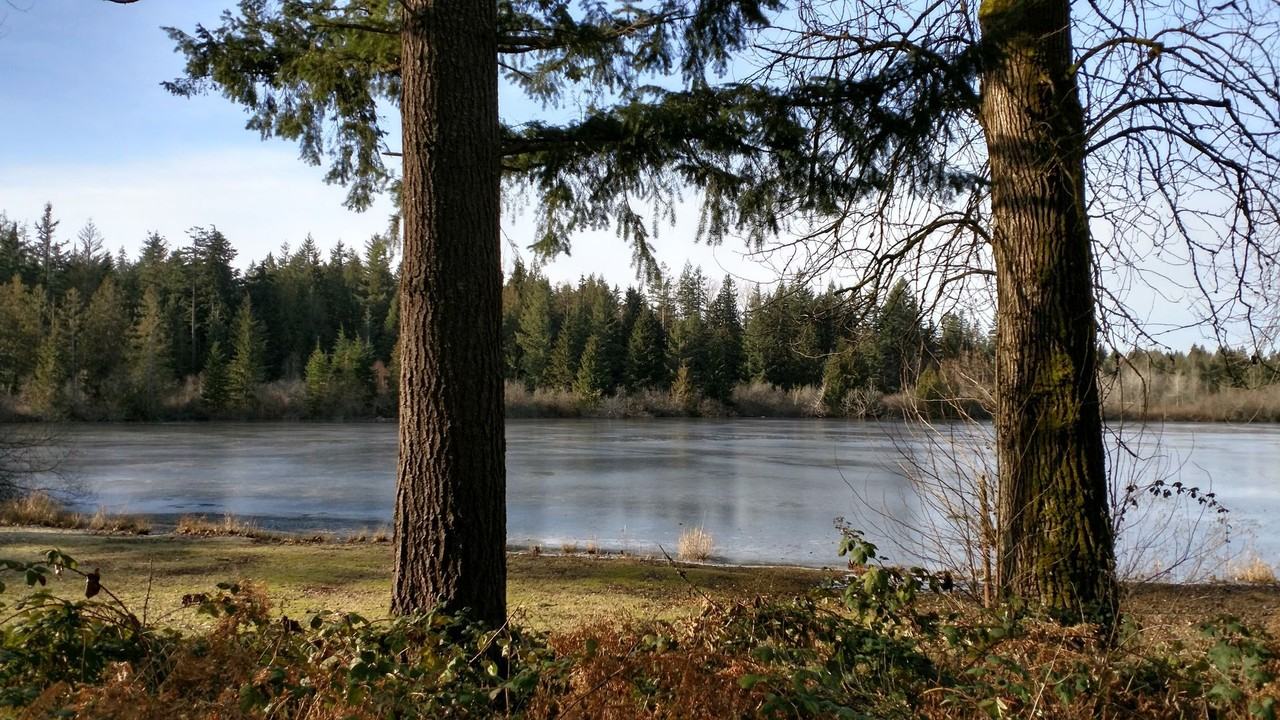 Shadow Woods - Photo 3 of 25