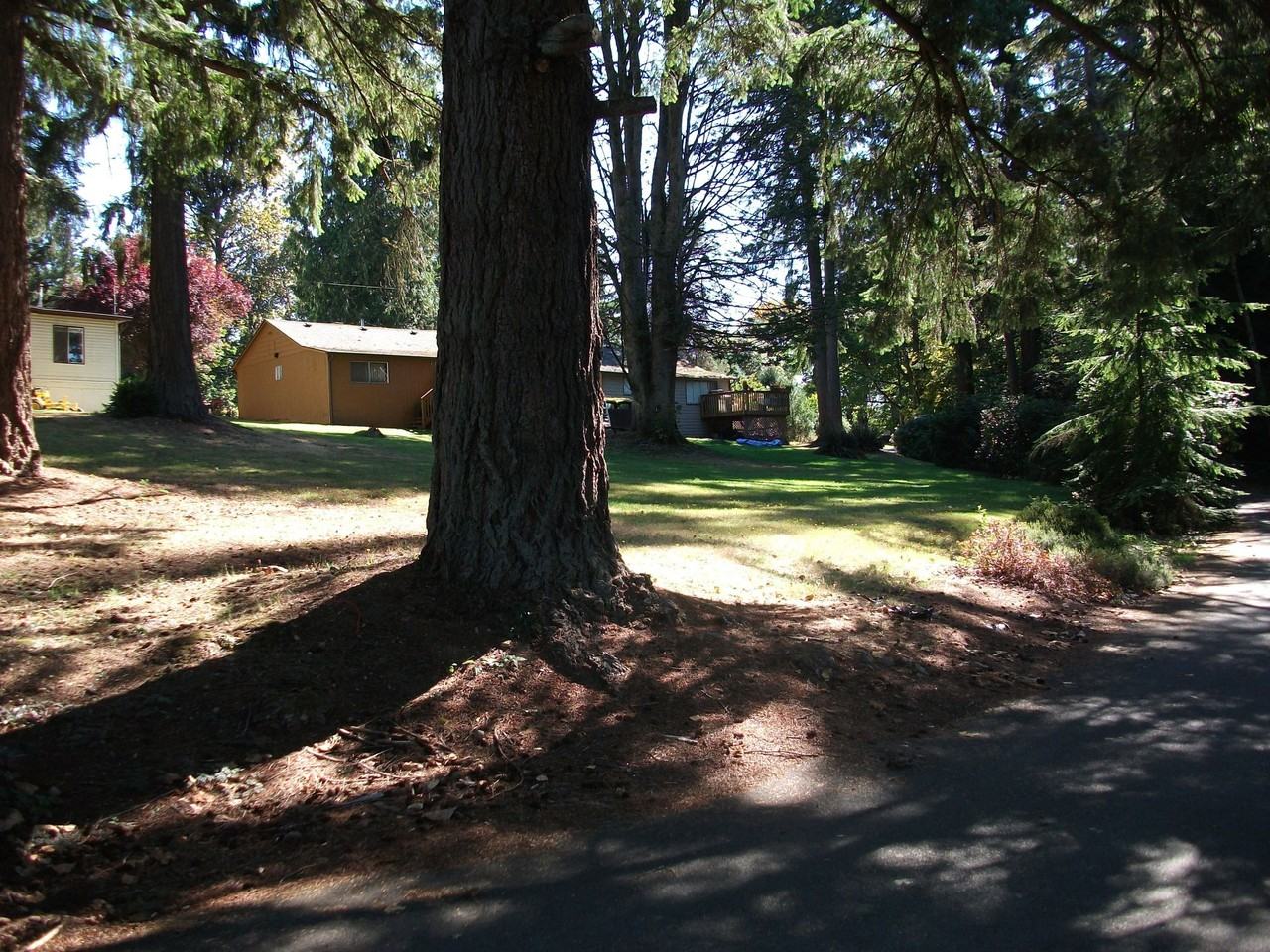 Shadow Woods - Photo 5 of 25