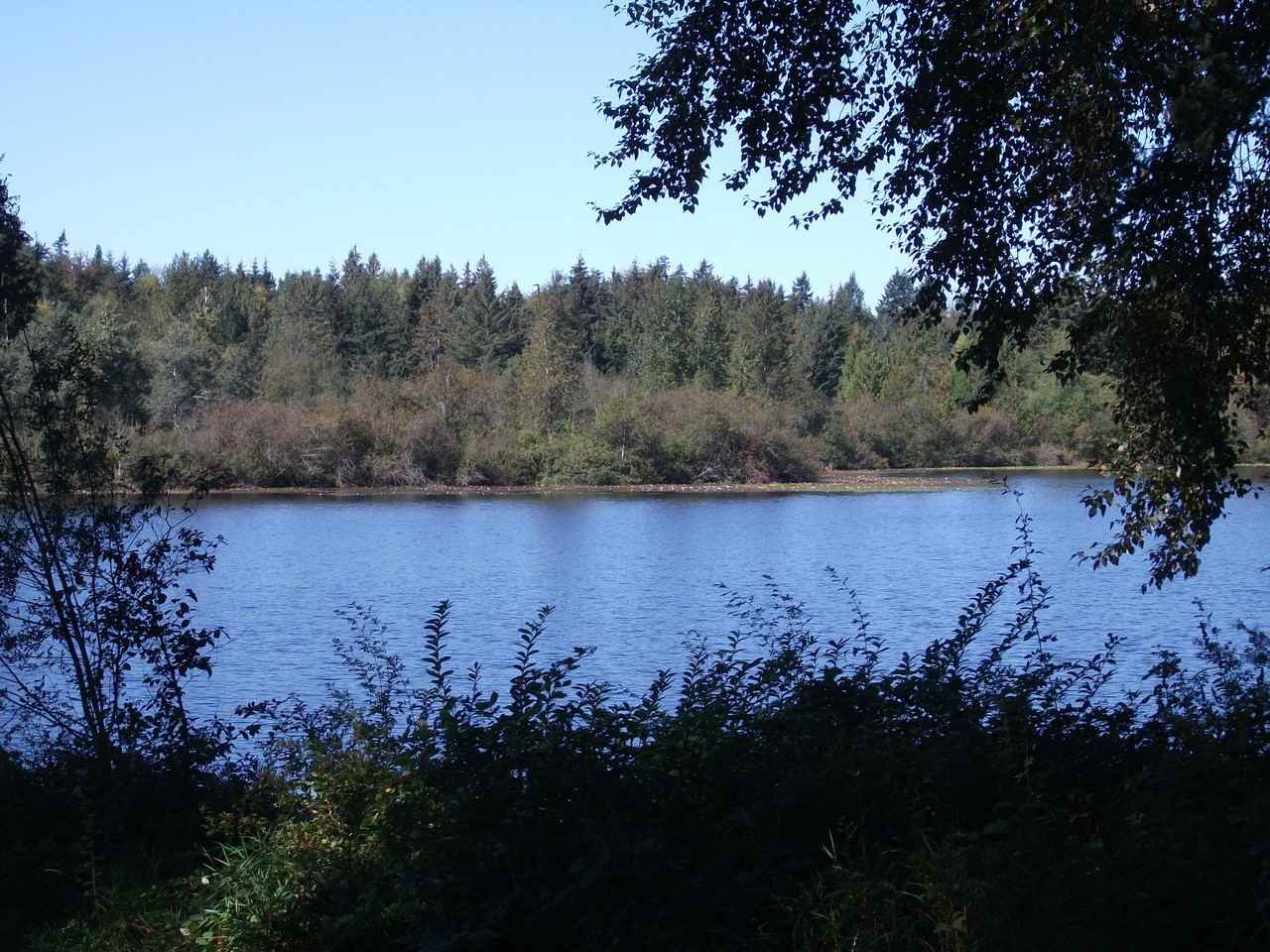 Shadow Woods - Photo 6 of 25