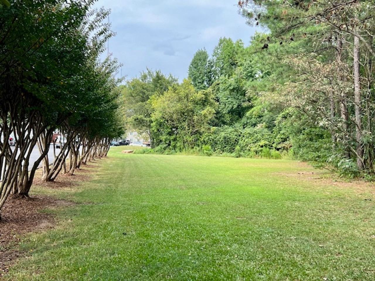 Park On Valley - Photo 5 of 31