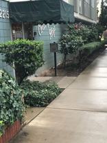 Century plaza apartments - Photo 1 of 1