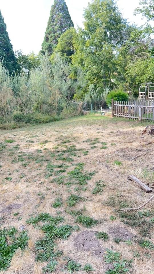 837 S Royal Ave - Photo 3 of 12