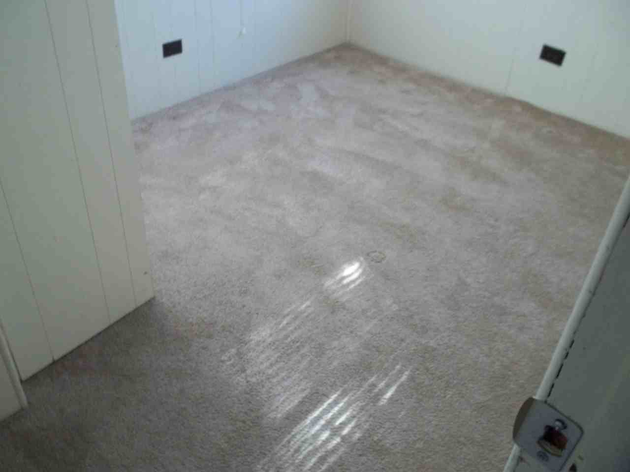 1505 Goodyear Ave #13 - Photo 5 of 6