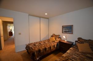 featured image of 213 213 Buffalo Woods