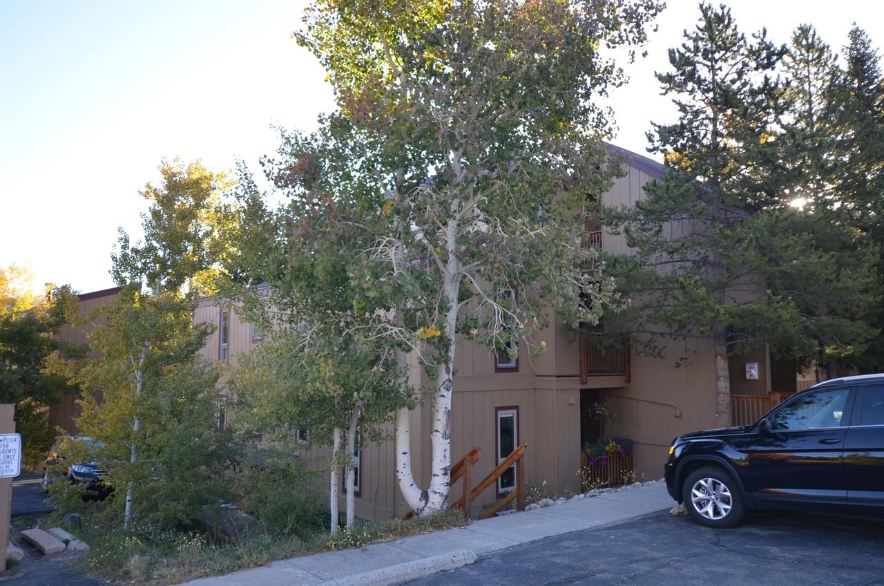 213 213 Buffalo Woods - Photo 3 of 20