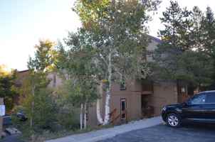 featured image of 213 213 Buffalo Woods