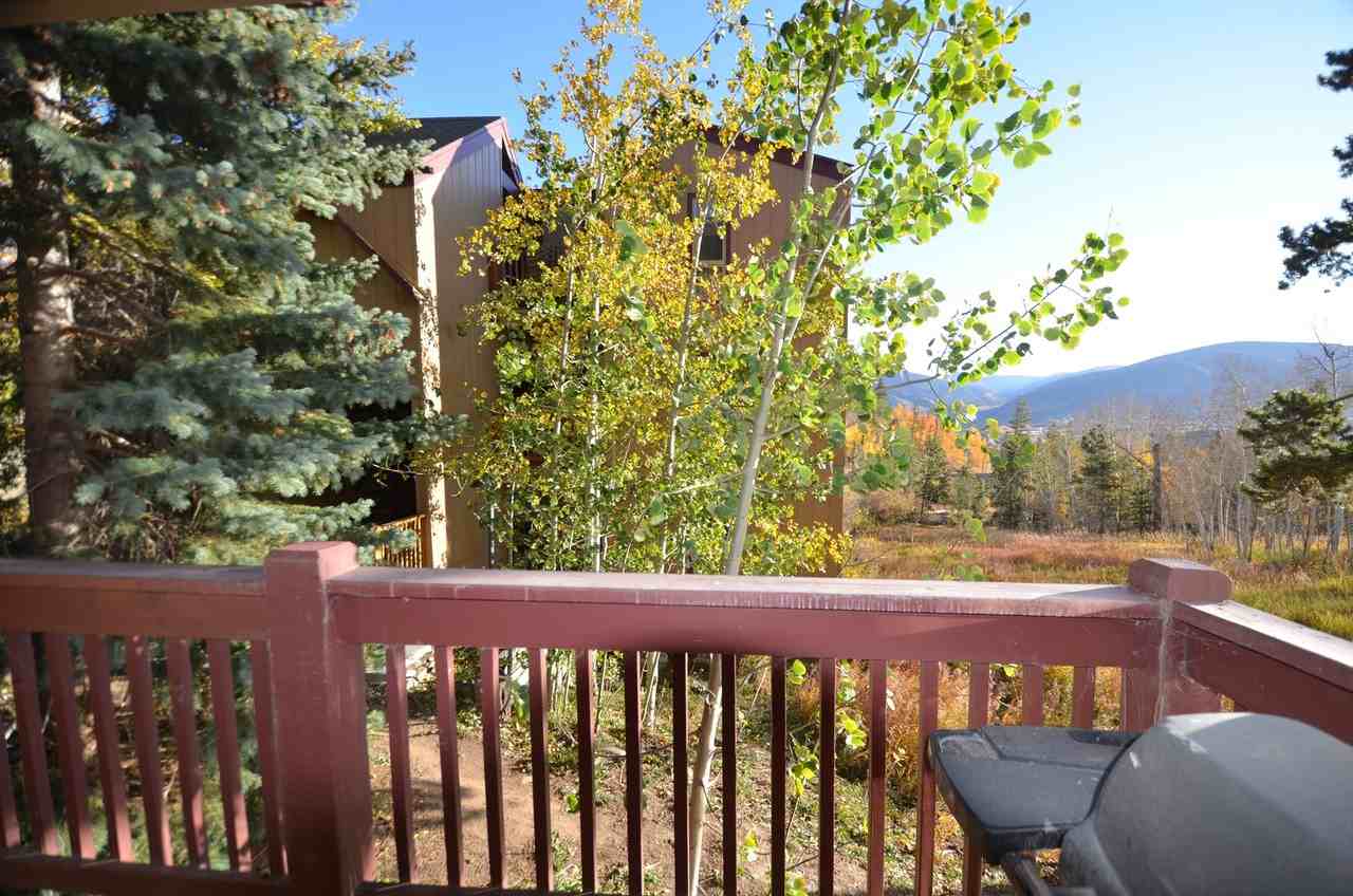 213 213 Buffalo Woods - Photo 7 of 20