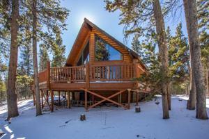 featured image of 204 Skidoo Rd