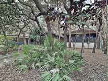 532 W Plantation Blvd - Photo 1 of 1