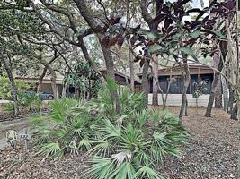 featured image of 532 W Plantation Blvd