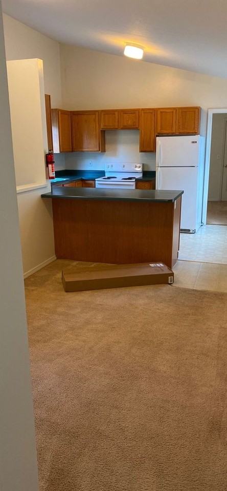 215 S Roosevelt St - Photo 5 of 10