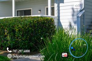 featured image of 1201 Glen Cove Pkwy #1502