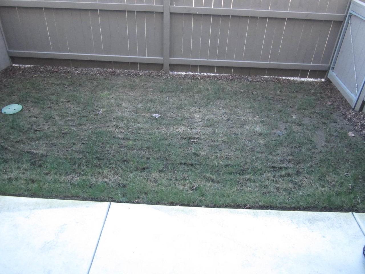 230 Cherry Bark Ln - Photo 3 of 6