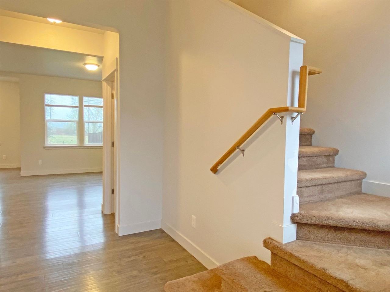 Linn1170 - Photo 2 of 22