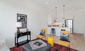 Stunning Apartment on Snyder Ave - Photo 1 of 1
