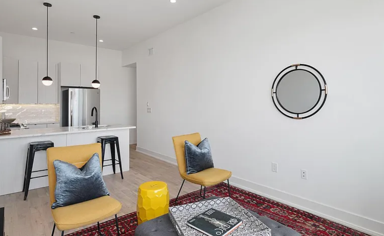 Stunning Apartment on Snyder Ave - Photo 6 of 22
