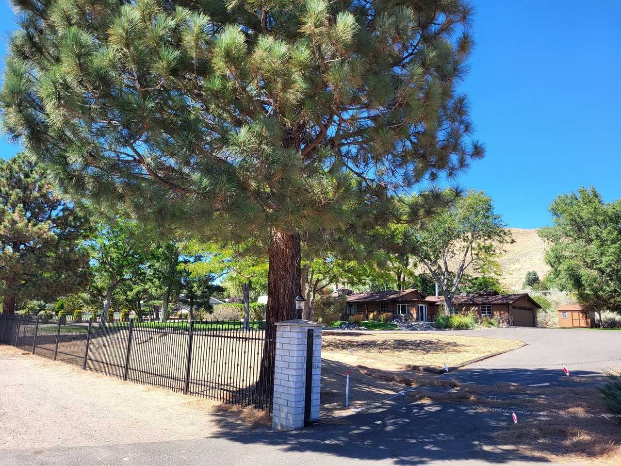 528 Ruby Ln - Photo 3 of 23