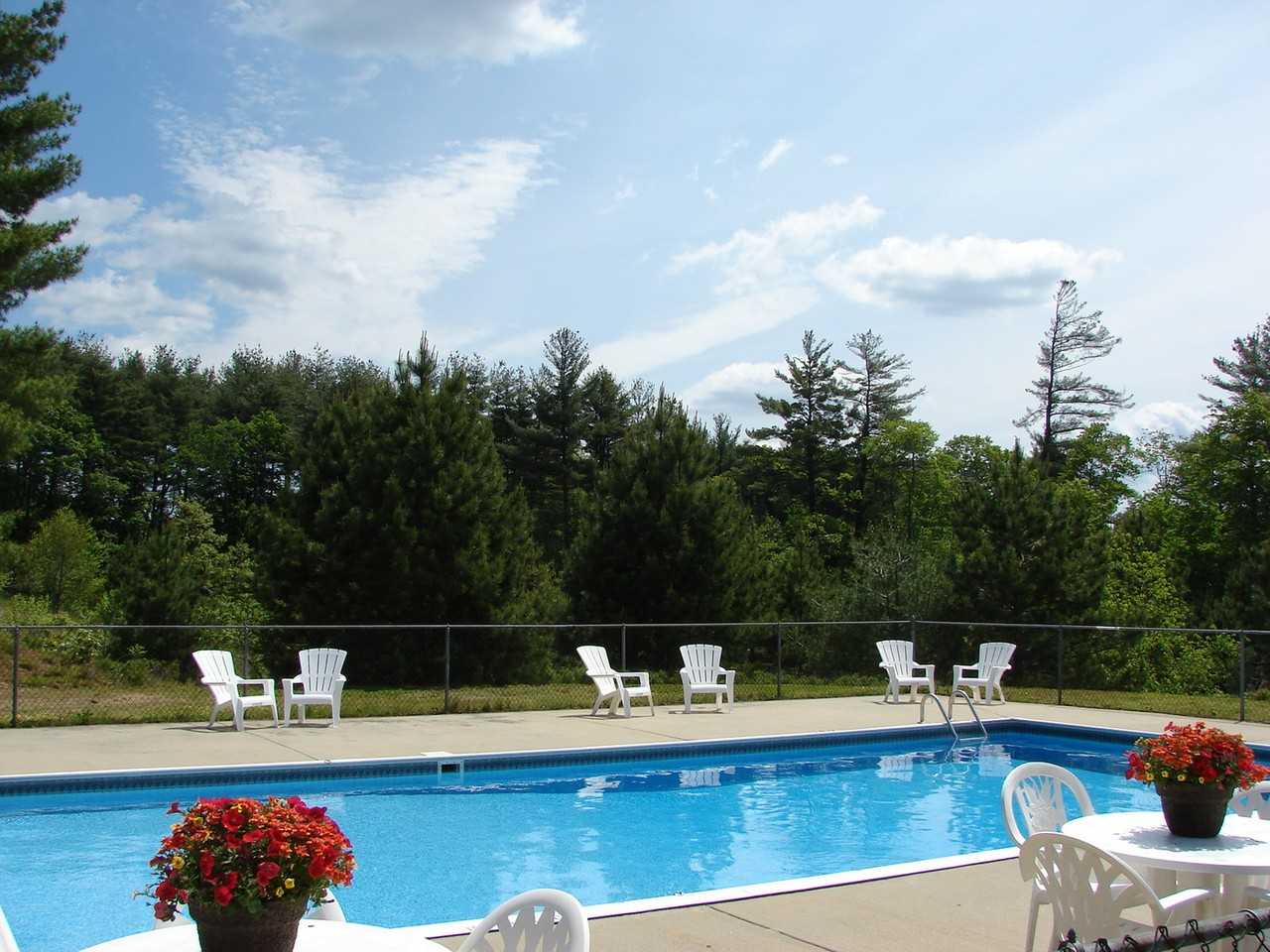 Branch River - Photo 5 of 18