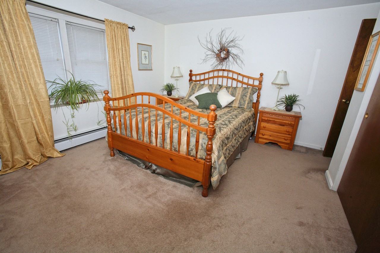 Branch River - Photo 7 of 18