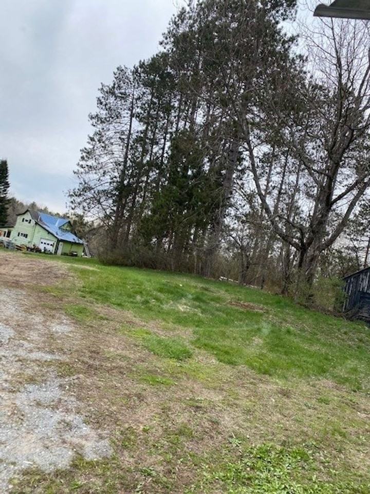 14463 Maple St - Photo 3 of 16