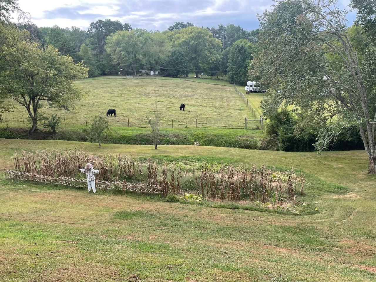 7458 Highway 294 - Photo 2 of 18