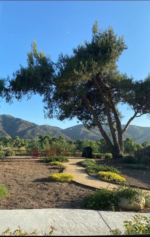 638 W Highway 246 - Photo 3 of 4